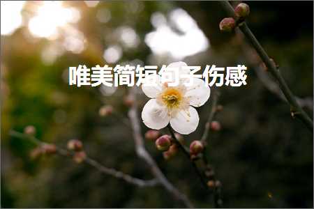 唯美简短句子伤感（文案53条）